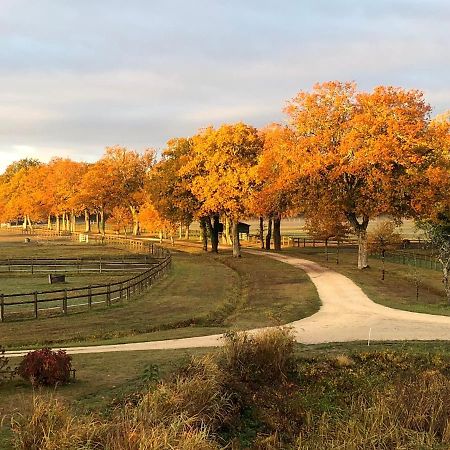 Haras Du Vignault Le Bucher Salbris Eksteriør billede