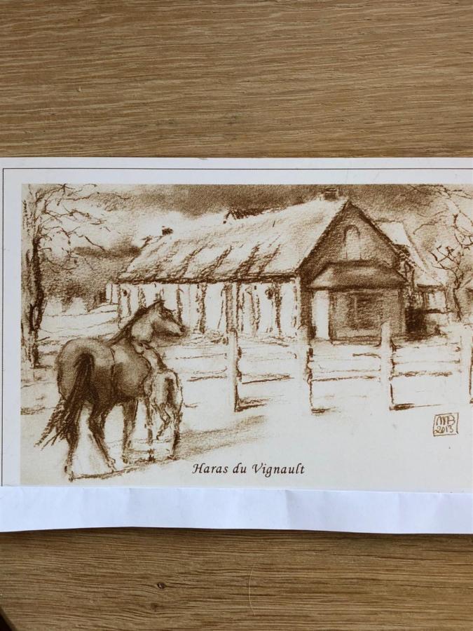 Haras Du Vignault Le Bucher Salbris Eksteriør billede