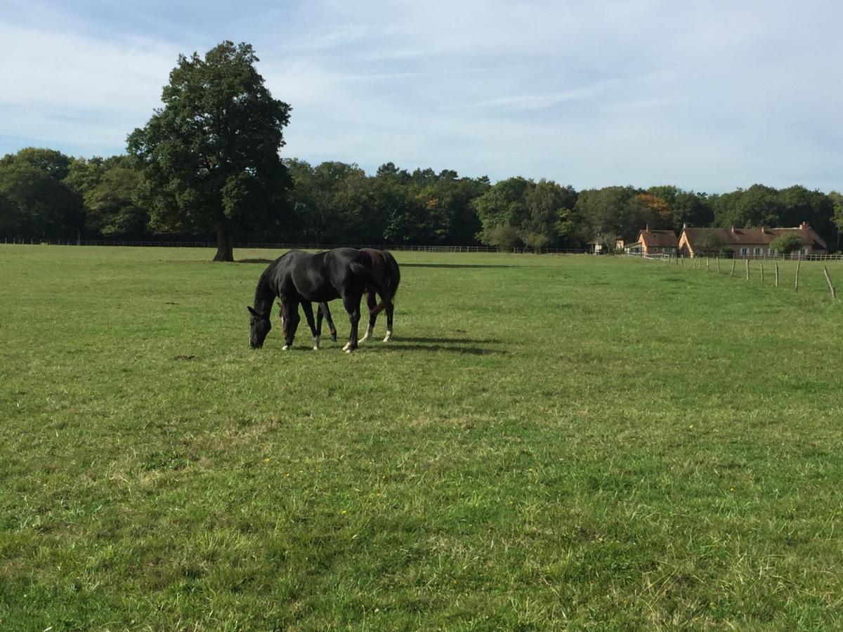 Haras Du Vignault Le Bucher Salbris Eksteriør billede
