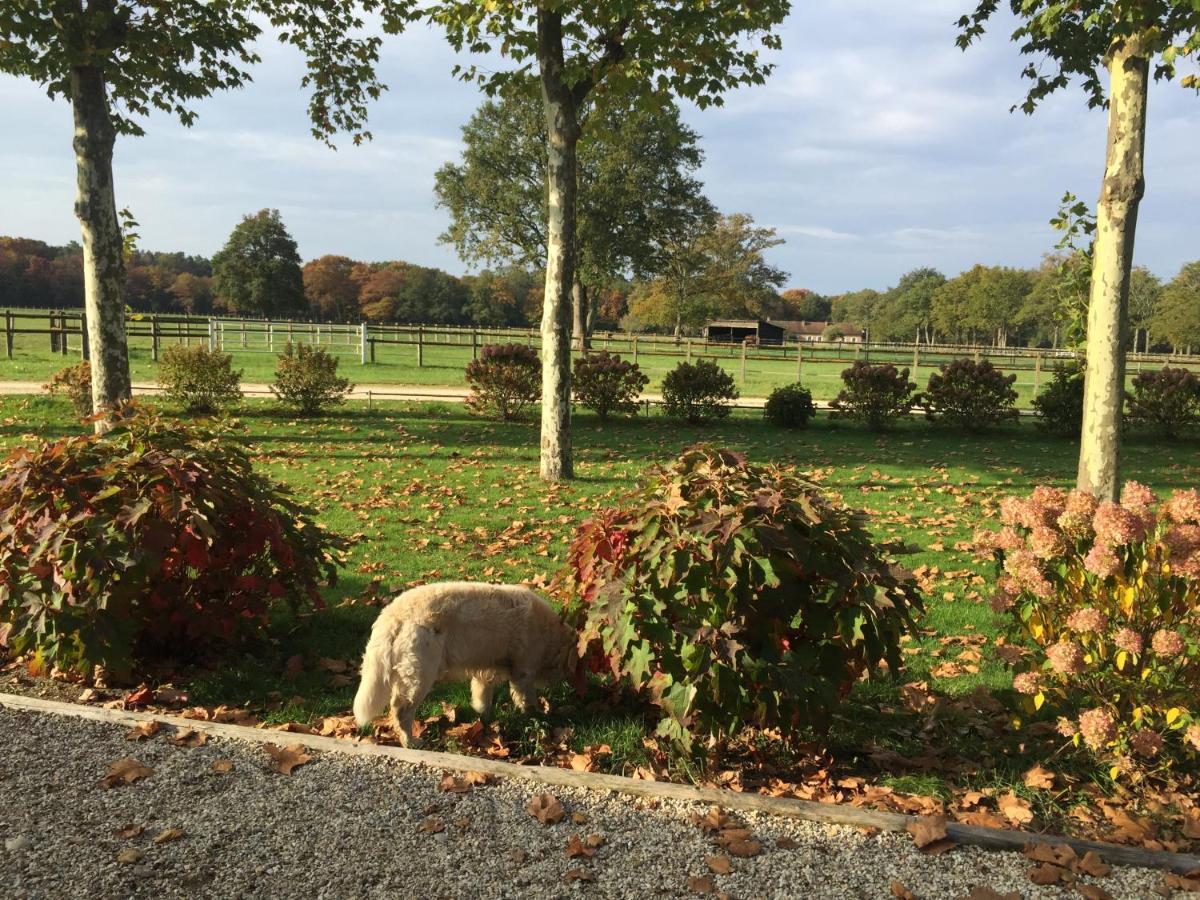 Haras Du Vignault Le Bucher Salbris Eksteriør billede